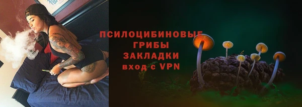 амф Кулебаки