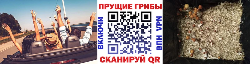 Псилоцибиновые грибы мицелий Урень